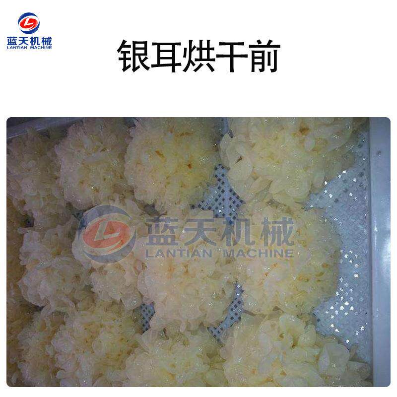 空气能银耳烘干机 热泵式白木耳雪耳烘干箱 银耳子脱水烘干一体机