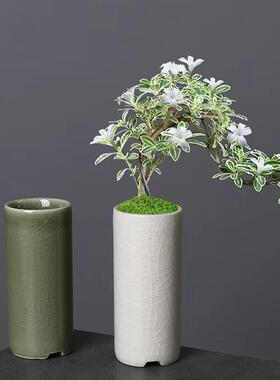 小直筒冰裂釉迷你花盆多肉绿植竹柏酒店花器创意陶瓷桌面盆栽有孔