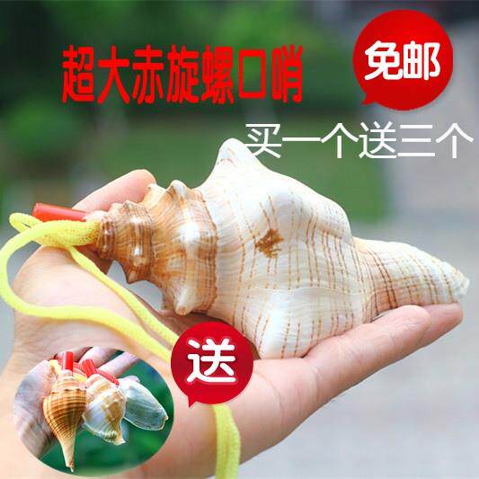 鸢尾项链小螺号海螺号角可吹口哨哨子天然宝宝玩具音乐响螺贝壳