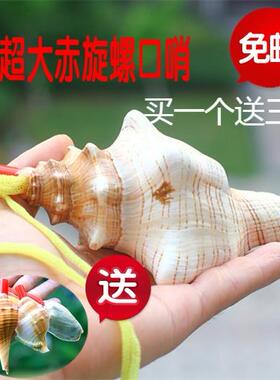 鸢尾项链小螺号海螺号角可吹口哨哨子天然宝宝玩具音乐响螺贝壳