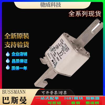 巴斯曼170M3223 170M3228 170M3229 长期销售价优 方体熔断器