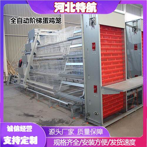 蛋鸡笼多层阶梯全自动清粪捡蛋喂料简加背负式喂料机捡蛋机