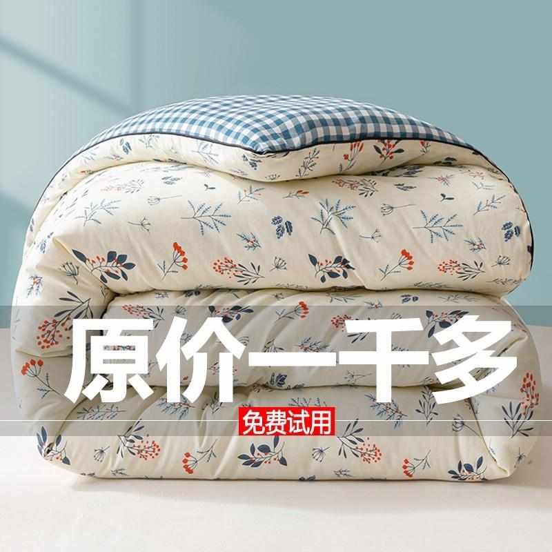 蚕丝被100桑蚕丝夏凉被空调被被子被芯春秋被四季通用2024新款4斤