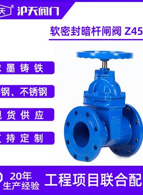 沪天阀门直销软密封暗杆闸阀Z45X大口径弹性座封大体闸阀RVHX