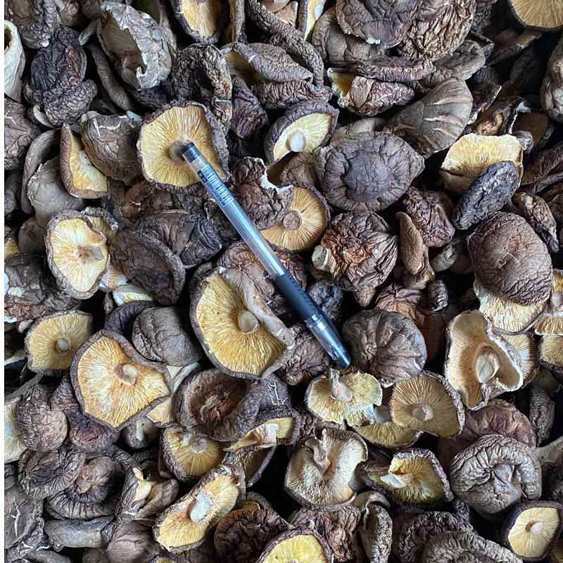 新货西峡香菇干 干货2500g薄香菇剪脚餐饮饭店黄焖鸡干香菇商用