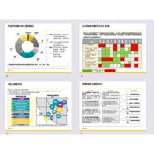 可编PT135页 变革对标与规划 人资体系6 某大型企业人资模式