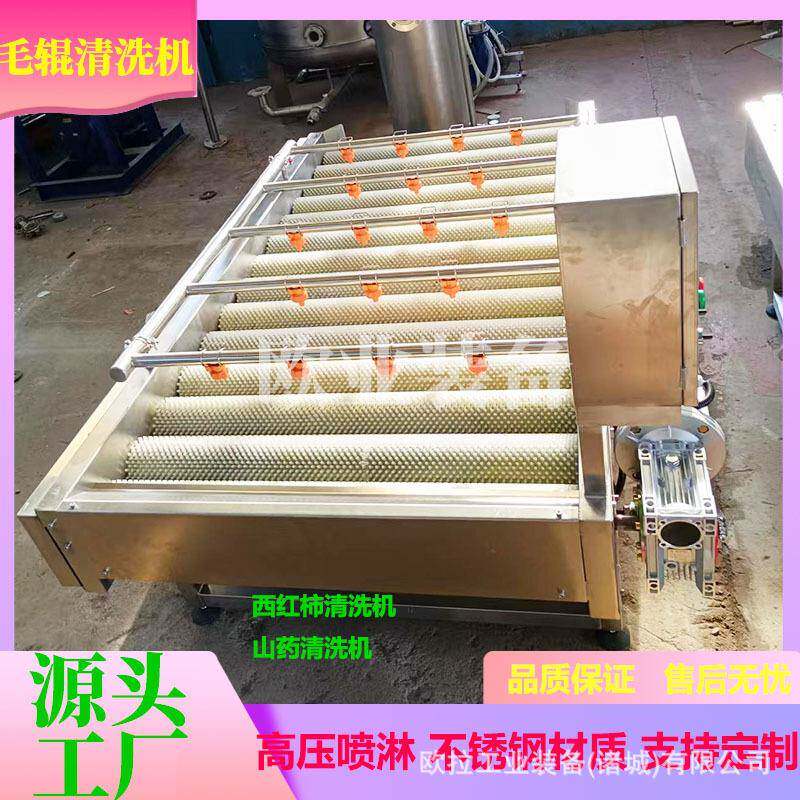 高压喷淋不锈钢去皮机小型根茎类果蔬清洗去皮机中药材清洗去皮