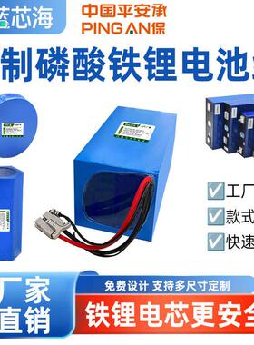 定制磷酸铁锂电池12V24V36V48V夜钓照明灯机器人DIY房车光伏储能