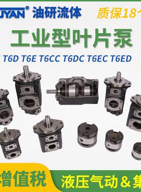 T6DC替代DENISON丹尼逊T6CC叶片T6ED油泵T6C-017020022025031