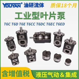 T6DC替代DENISON丹尼逊T6CC叶片T6ED油泵T6C-017 020 022 025 031
