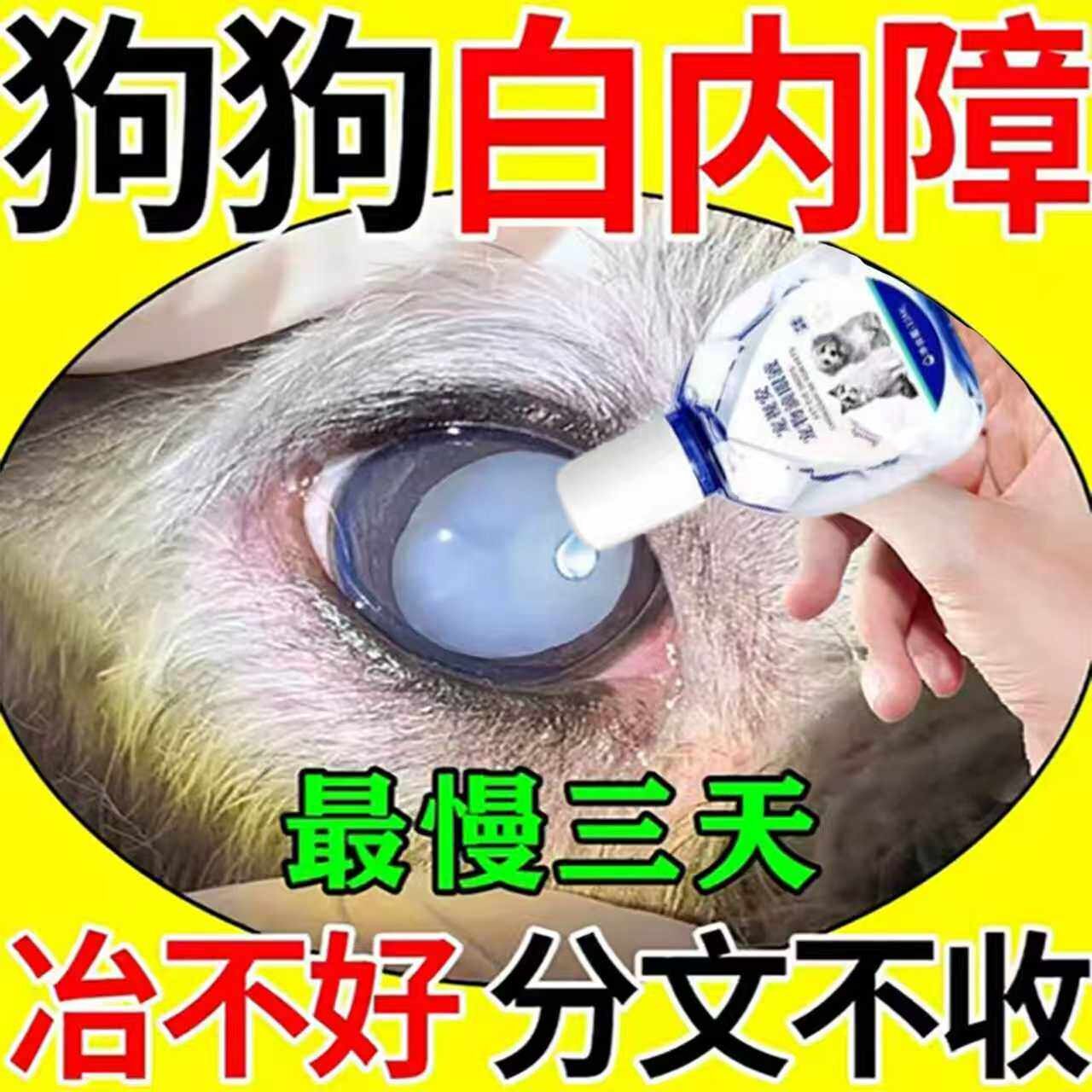 狗狗白内障专用眼药水宠物猫咪老年犬滴眼液幼猫千寿