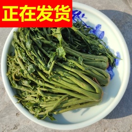 新鲜新货农家手工腌制香椿芽咸菜头茬香椿头新鲜香椿腌制嫩香椿包