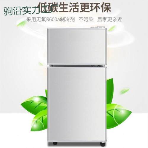 tt小冰箱迷你家用冷冻冷藏小型能效电冰箱租房宿舍二人用