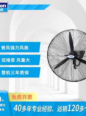 Deton德通普风强力风扇SF工业壁挂扇挂墙牛角电风扇30寸DFP750-TA