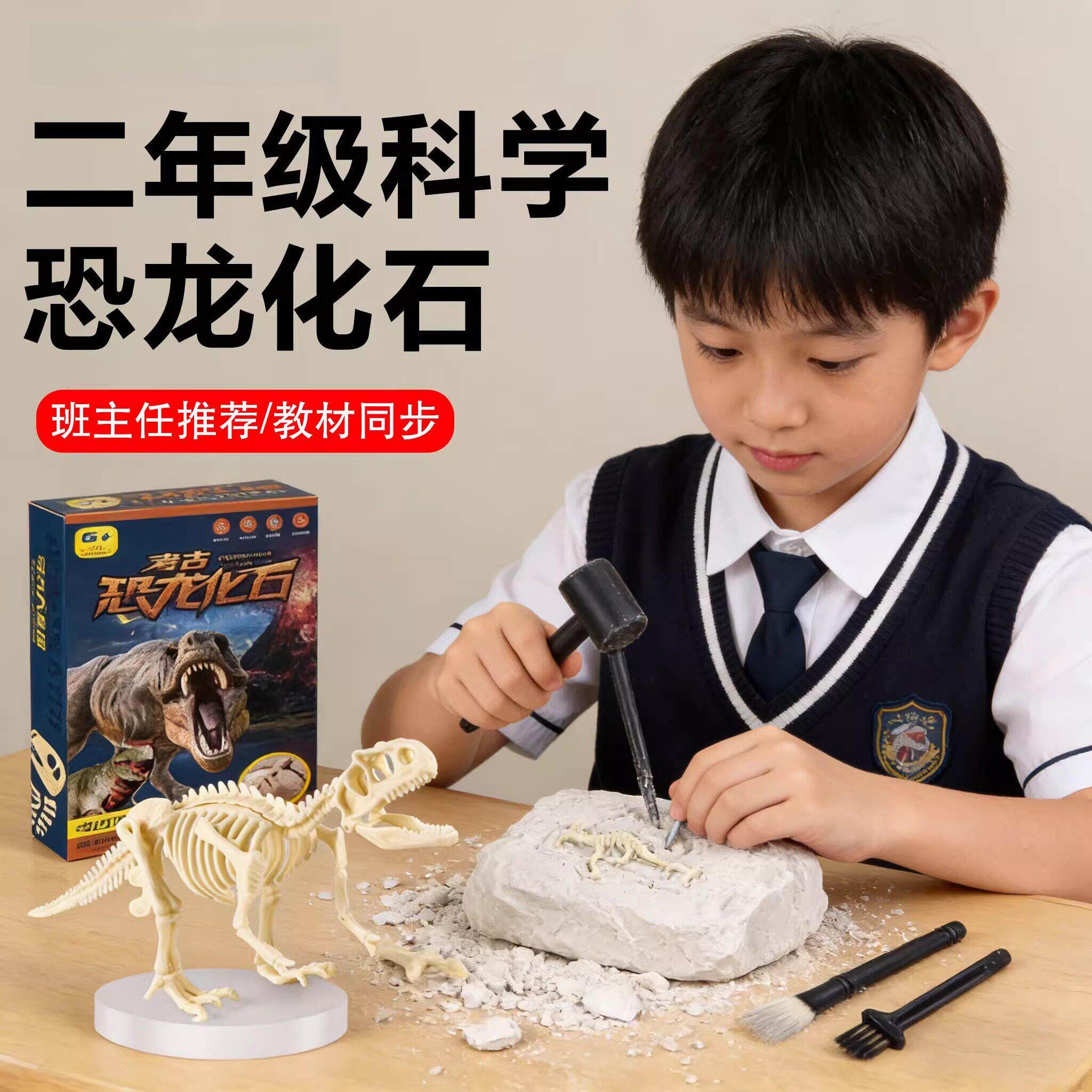 二年级下册科学恐龙化石考古可挖掘玩具教材骨架模型实验材料包