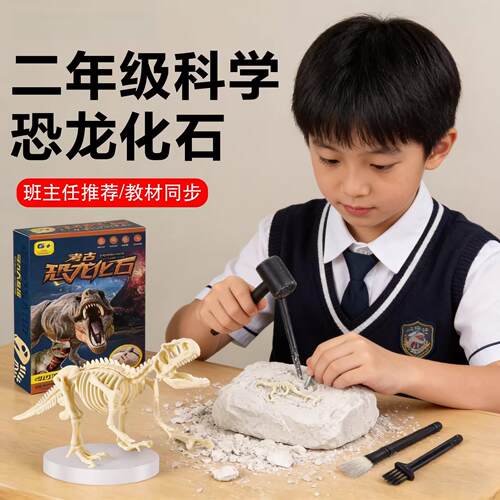 二年级下册科学恐龙化石考古可挖掘玩具教材骨架模型实验材料包