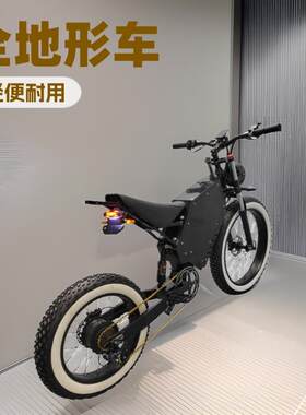 全地形越野山地电动助力车轻蜂蛟龙越野爬山19寸电动自行车