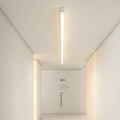 人体感应灯LED吸顶灯简约现代客厅灯卧室灯极简阳台灯中山走道灯