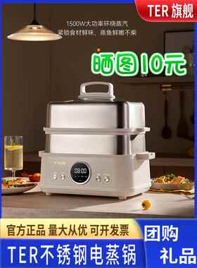 TER不锈钢电蒸锅家用多功能大容量蒸煮一体锅多层蒸箱小型蒸汽锅