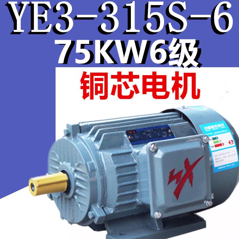 75KW6级电机YE3-315S-6极三相异步电动机千瓦国标铜380V二级YX3E2