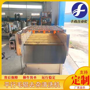 供应莲藕果蔬清洗机全自动芋头清洗机高压喷淋平行毛辊清洗机