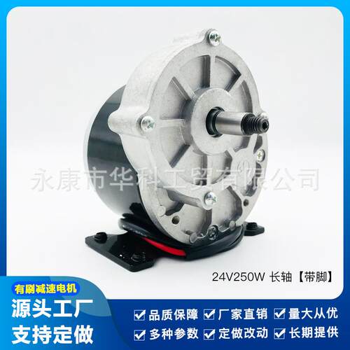 有刷直流电机1016Z24V 250W代步车电动车电瓶车减速扫地车轮椅