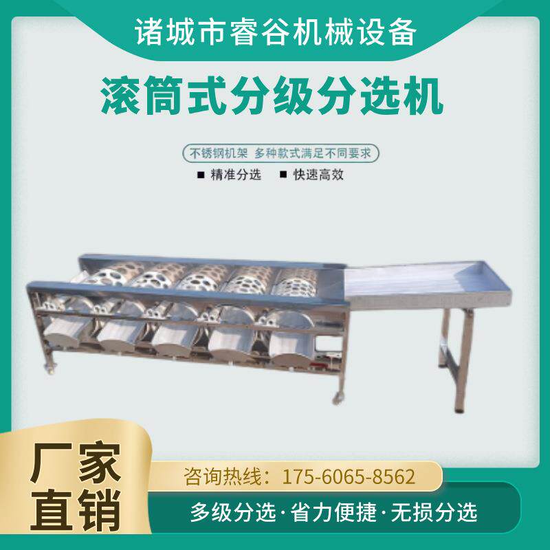 滚筒式核桃红枣桂圆分级机沃柑砂糖橘轨道式分选机可分3-8等级