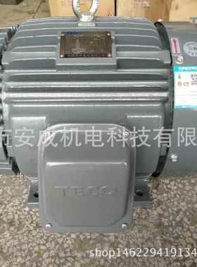 电机TEGH160M-415HP11W4PAEEFF3B3IP5550HZ