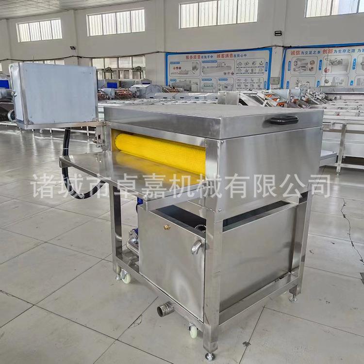 产地货源粽香叶清洗机 芭蕉叶菠萝叶清洗机 高压喷淋荷叶清洗线