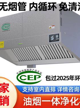 油烟净化一体机商用低空直排无管道内循环抽油烟机大吸力净化设备