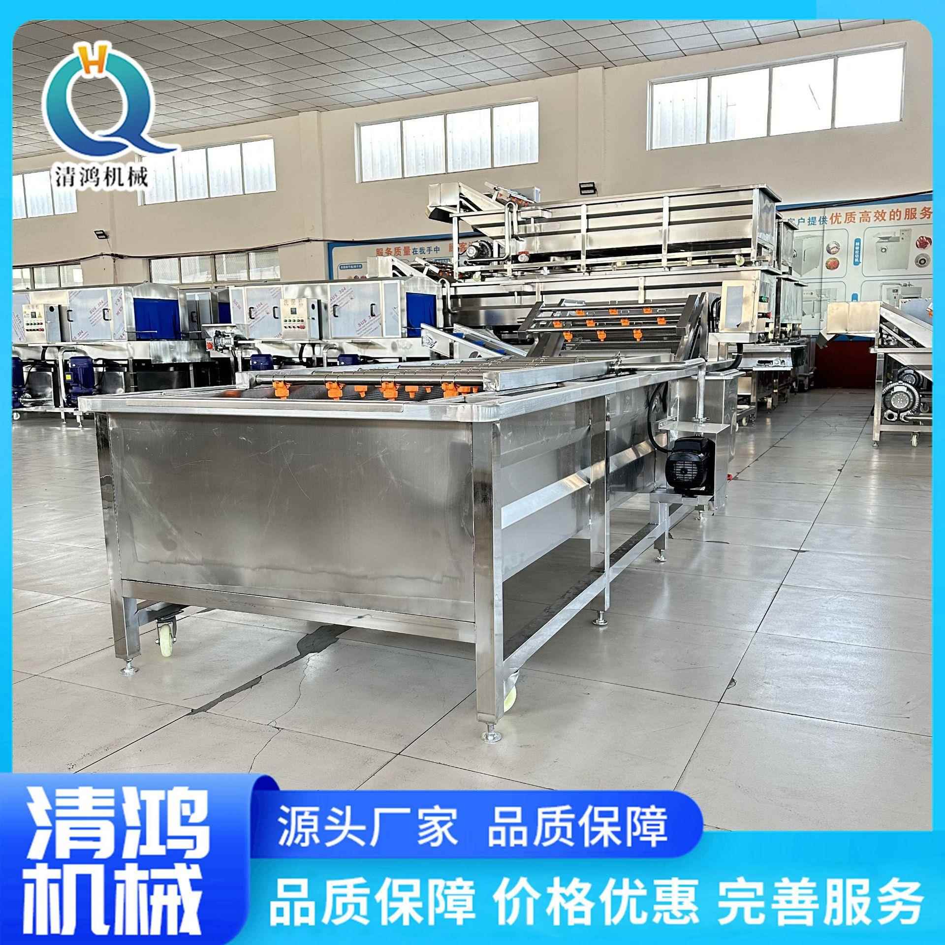 小型水清洗设备柑橘龙果去火农残气泡清果洗机清芒果洗XAZ风干线