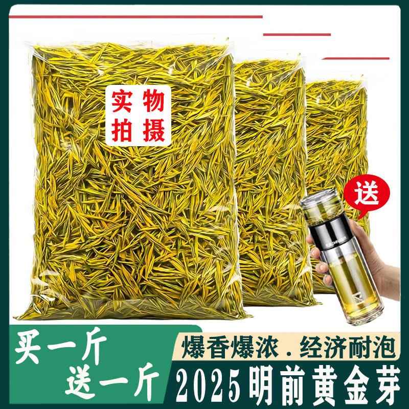 2025新茶黄金芽正宗明前高山浓香型板栗香毛尖绿茶口粮茶自己喝