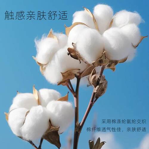 新款直销230G凉感速干拉架针织布料 40S精棉涤氨TC混纺弹力T恤面