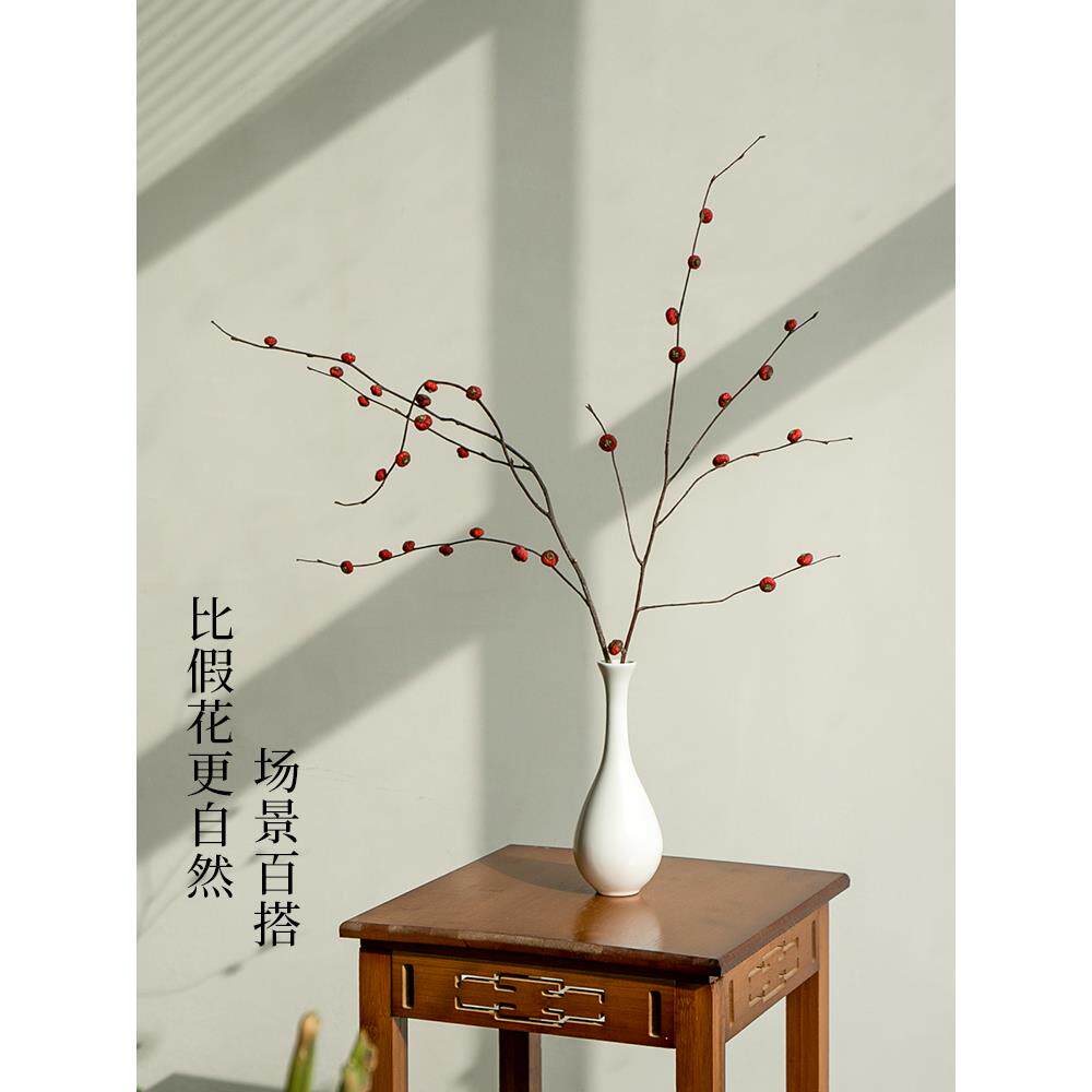 蔷薇果干枝插花造景干花花束客厅摆设高级感真花风干天然装饰摆件