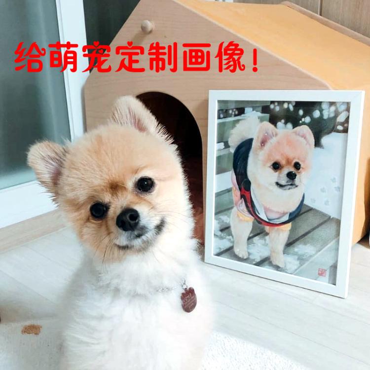 宠物素描彩铅画像定制 手绘猫咪狗狗爱犬动物画 萌宠画画铅笔画