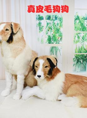 仿真狗狗牧羊犬狼狗雪瑞纳模型动物标本家居软装饰品摆件招财狗狗