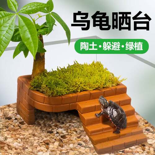 乌龟爬晒台陶土爬坡楼梯躲避屋黄缘栖息台晒背补钙爬台养龟缸专用