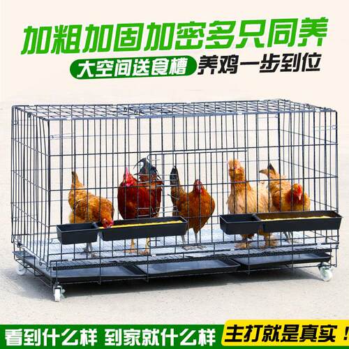鸡笼子养鸡笼大号养殖笼折叠兔笼狗笼子加粗蛋鸡笼家用鸡窝鸡舍