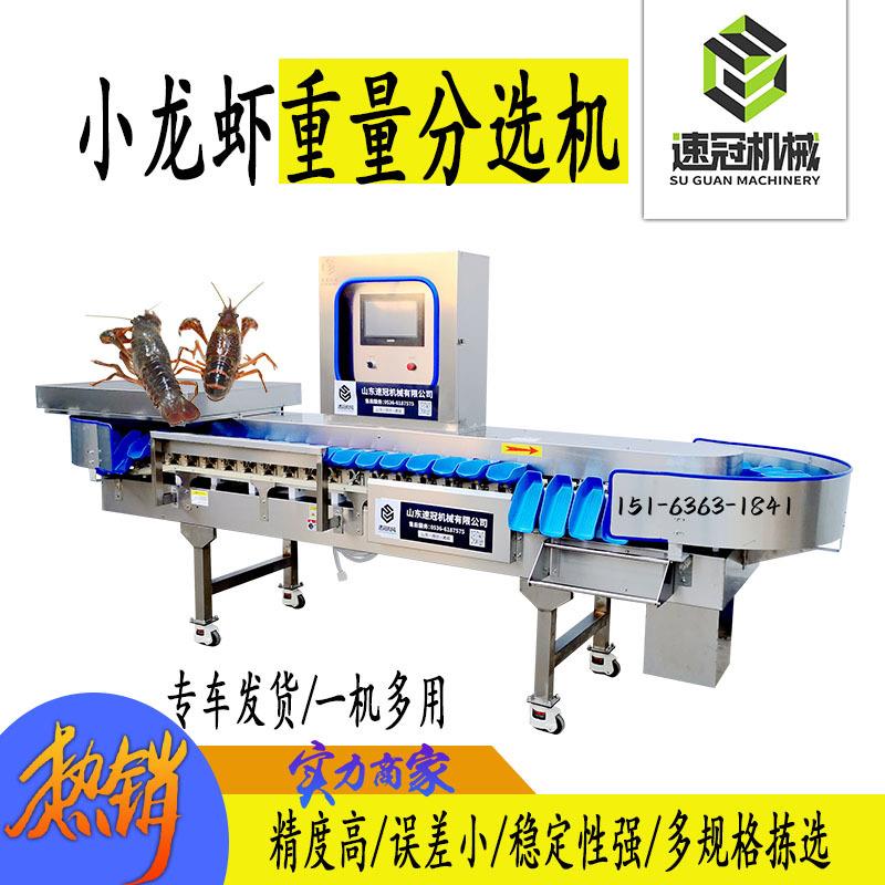 小龙虾筛选机 全自动重量分选机 海螺大虾鲍鱼秋刀鱼串鱿鱼仔分拣