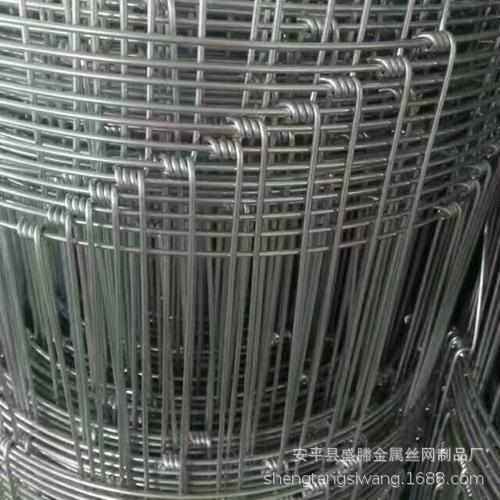 牛栏钢丝网护栏围挡圈地围栏养殖热镀锌网编织防护网草原农场网
