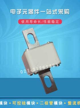 快速熔断器保险丝170M5616 5617 5618 5644 5645 5646 5647 5648