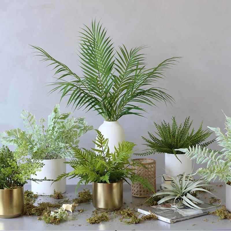 ladylike 蕨类植物办公室彷真绿植小盆栽北欧ins室内客厅简约盆景