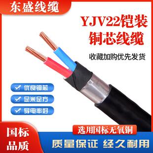 户外2芯4 6 10 16平方铜线YJV YJV22 2 X4X6X10铠装电缆RVV软电线