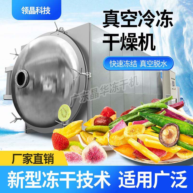 领创冻干机大型真空冷冻干燥机设备加工时令水果菜类肉类商用