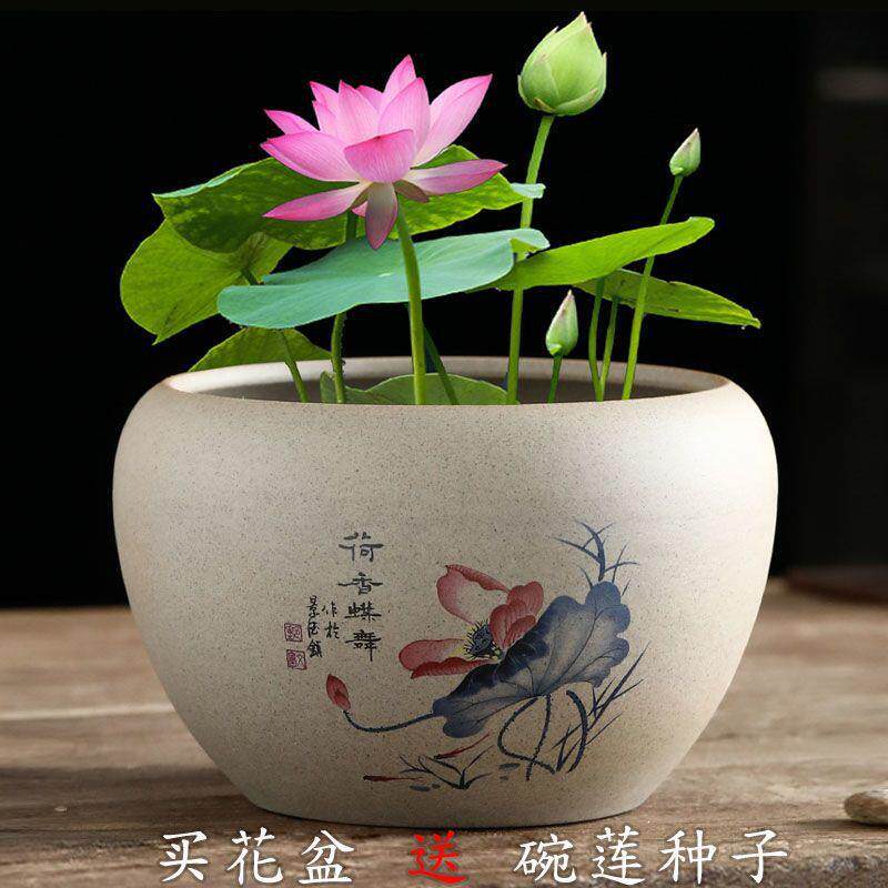 莲花盆粗陶睡莲铜钱草碗莲水培花盆陶瓷莲室内大号紫砂水养花缸
