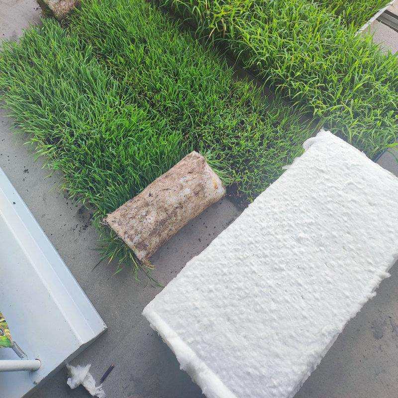 水稻育秧毯水稻毯状基质 水稻育秧盘育秧毯无秧盘育秧毯