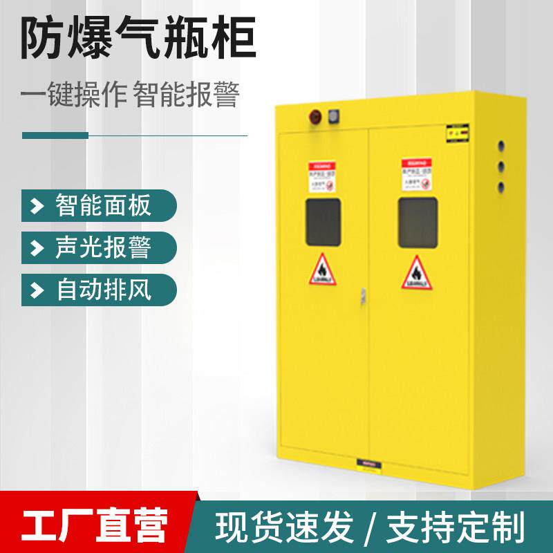 需定制全钢防爆气瓶柜瓦斯罐双瓶乙炔储存柜带智能排风钢瓶柜