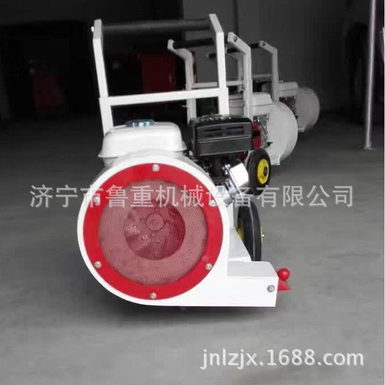 厂家生产手推式汽油吹风机 路面树叶灰尘吹风机 GX160汽油机吹风