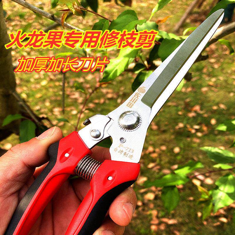 佐川田进口钢加长火龙果专用修枝剪枝条家用花草不锈钢平口剪刀