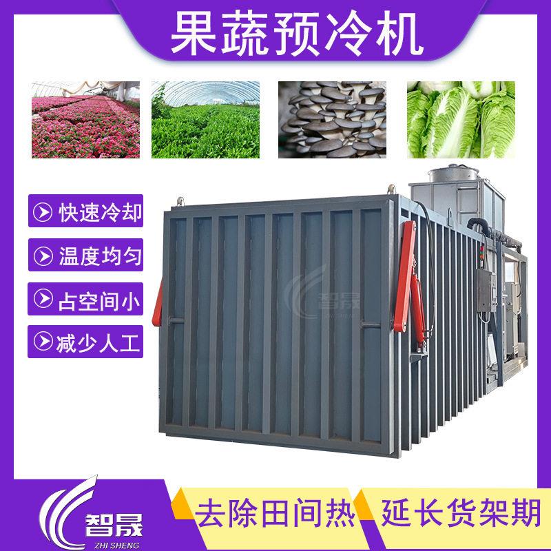 真空预冷机2卡板小青菜茼蒿真空预冷机打冷保鲜蔬菜真空预冷机